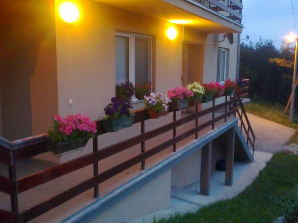 Apartments Varga Divčibare 外观 照片